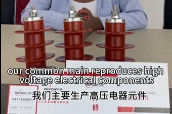 Z6·尊龙凯时电气主要生产高压电器元件